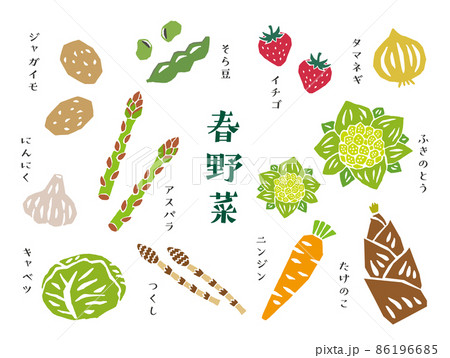 春野菜セット レトロなベクターイラスト 春野菜セット レトロなベクターイラスト 86196685