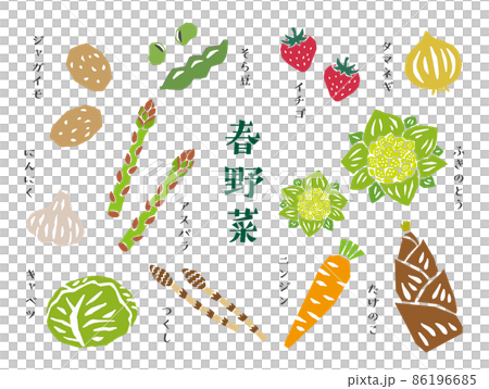 春季蔬菜集復古矢量圖 86196685