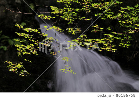 滝畑四十八滝(荒滝)   【大阪府河内長野市】 86196759