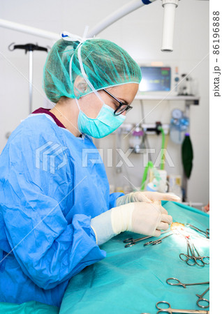 Surgery operation. Close up of surgeon hands stitching the wound after operating. Surgical treatment 86196888