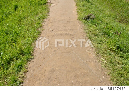 あぜ道 あぜ道 86197432