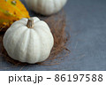 白と黄色のかぼちゃ 86197588