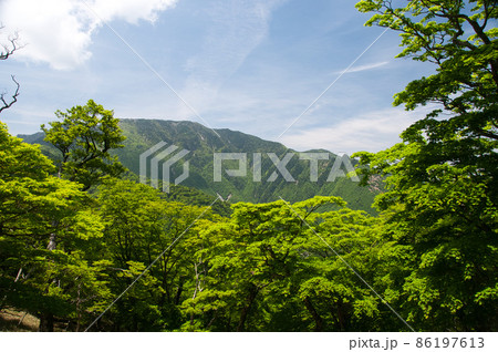 大峰山脈の行者還岳方面から弥山を望む(新緑)　【奈良県天川村】 86197613
