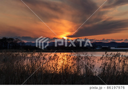 【北海道】宮島沼の夜景とマガン 【北海道】宮島沼の夜景とマガン 86197976