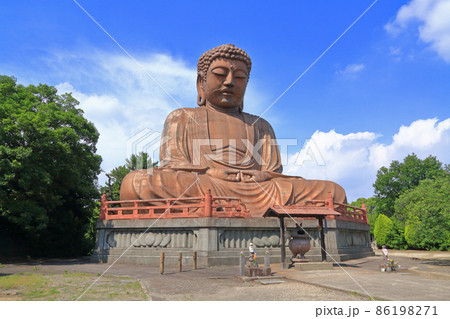 東海市 聚楽園公園の大仏 東海市 聚楽園公園の大仏 86198271