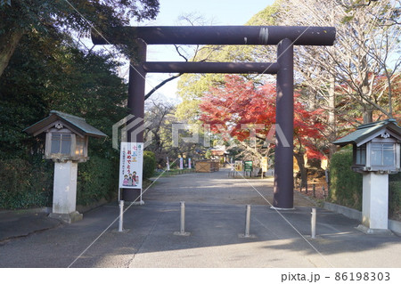 常盤神社 常盤神社 86198303