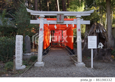 常盤神社 常盤神社 86198332