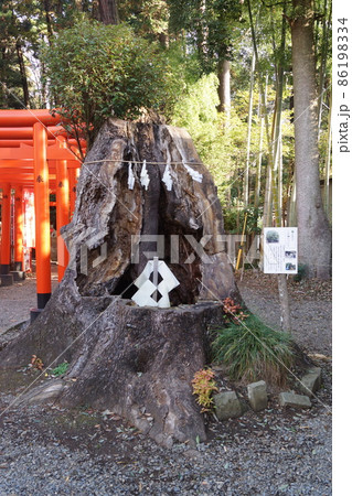 常盤神社 86198334
