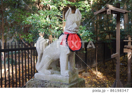 常盤神社 常盤神社 86198347