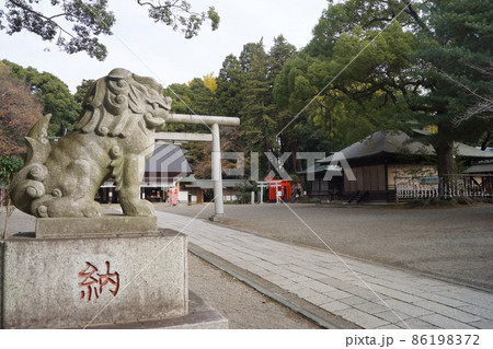 常盤神社 常盤神社 86198372