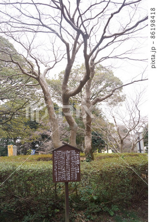 常盤神社 86198418