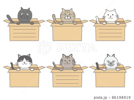 ダンボールに入った猫のフレーム 86198919