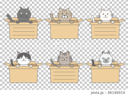 ダンボールに入った猫のフレーム 86198919