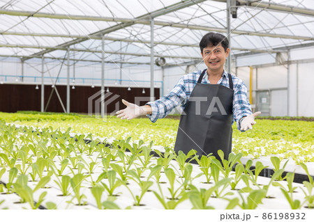 Happy asian farmer in the farm salad producing garden hydroponically without soil agricultural in the greenhouse organic for health food Happy asian farmer in the farm salad producing garden hydroponically without soil agricultural in the greenhouse organic for health food 86198932
