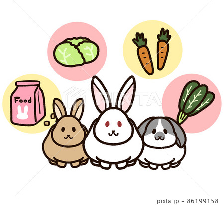 かわいいウサギと餌 かわいいウサギと餌 86199158