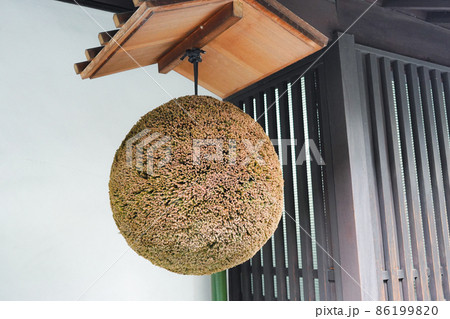 杉玉　造り酒屋 86199820