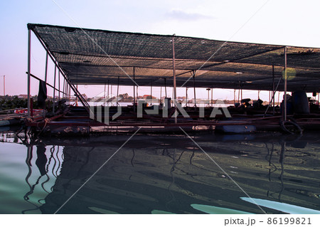 Floating fish pen used for farming carps in Mekong Delta, Vietnam Floating fish pen used for farming carps in Mekong Delta, Vietnam 86199821