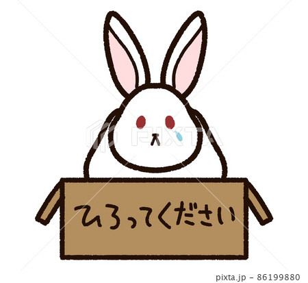 捨てられた白いウサギ 捨てられた白いウサギ 86199880