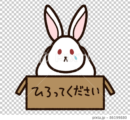 捨てられた白いウサギ 捨てられた白いウサギ 86199880