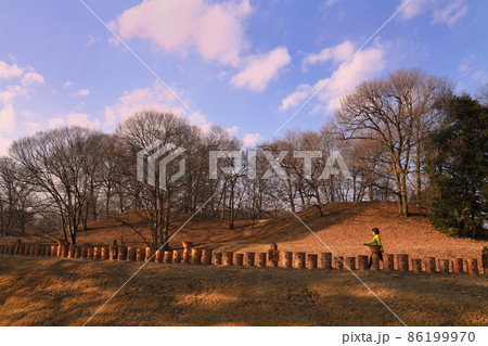 大室古墳群　中二子古墳 86199970