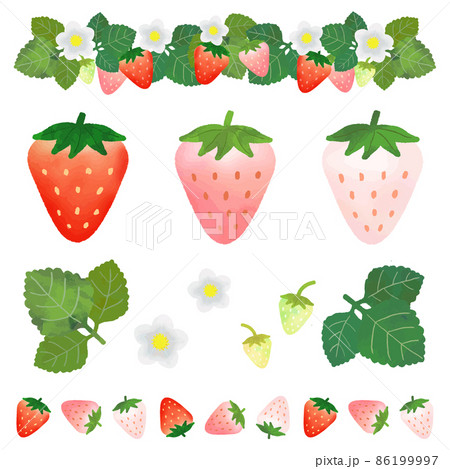 いちごと白イチゴのイラスト素材セット（水彩風ベクター） 86199997