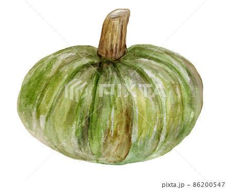 絵画４号　Shinkichi Hokonoki　深緑色のかぼちゃとユリ（横向き） 草間彌生「カボチャ（G）」シルクスクリーン :: 絵画買取・販売 - シバヤマ