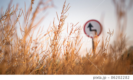 Traffic street transportation sign over dried grass nature meadow field Traffic street transportation sign over dried grass nature meadow field 86202282