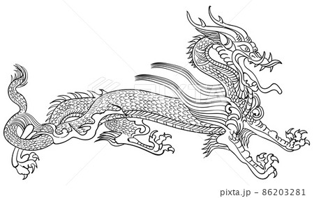 青龍-白黒 86203281