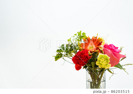 生花を白背景で花のある暮らしイメージ　 86203515
