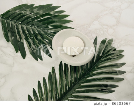 ボタニカル 石鹸 イメージ ボタニカル 石鹸 イメージ 86203667