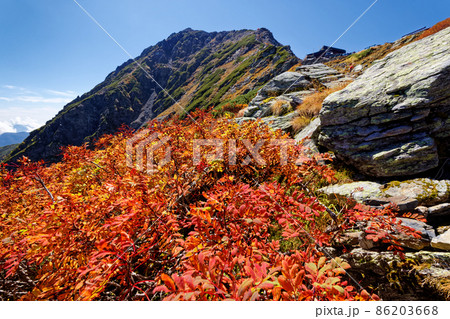 ナナカマドの紅葉と南アルプス・北岳山頂 86203668