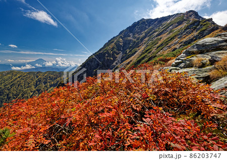 南アルプス・北岳稜線のナナカマドの紅葉と富士山の眺め 南アルプス・北岳稜線のナナカマドの紅葉と富士山の眺め 86203747