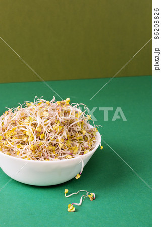 Bowl with radish sprouts on modern green background. Sprouted seeds. Healthy eating, detoxification. Bowl with radish sprouts on modern green background. Sprouted seeds. Healthy eating, detoxification. 86203826