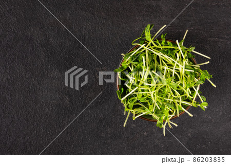 Bowl with peas microgreens on black background top view. Sprouted seeds. Healthy eating sprouts. Bowl with peas microgreens on black background top view. Sprouted seeds. Healthy eating sprouts. 86203835