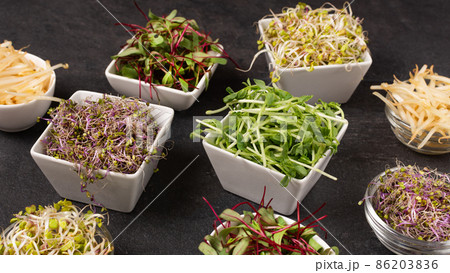 Mix of various sprouts on black background. Sprouted seeds. Healthy eating, detoxification. Mix of various sprouts on black background. Sprouted seeds. Healthy eating, detoxification. 86203836