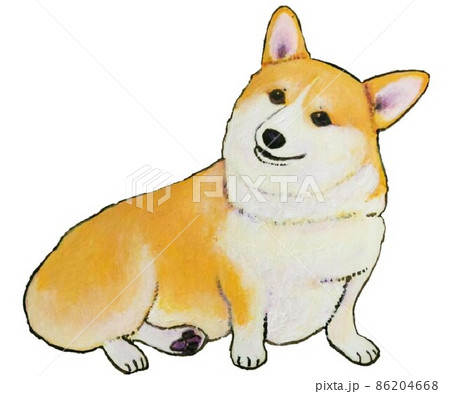 首を傾げて座るコーギー 首を傾げて座るコーギー 86204668