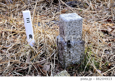 道志山塊の鶴島御前山山頂の三角点 86204913