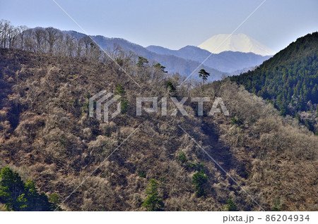 道志山塊の大丸　御座敷の松より富士山遠望 86204934