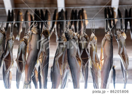 日本一のヤナバを持つ山形県白鷹町の道の駅あゆ茶屋は冬の郷土料理の寒風干しが軒先に吊るされている 日本一のヤナバを持つ山形県白鷹町の道の駅あゆ茶屋は冬の郷土料理の寒風干しが軒先に吊るされている 86205806