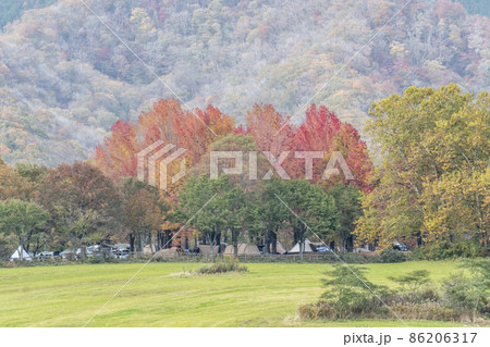 森の紅葉・落葉 秋色イメージ(蒜山高原) 森の紅葉・落葉 秋色イメージ(蒜山高原) 86206317