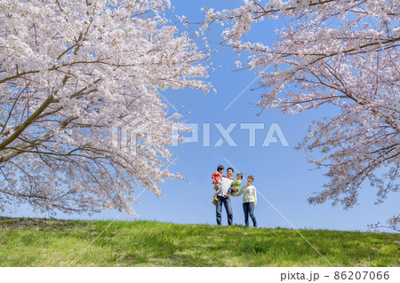 桜の咲く土手で遊ぶ4人家族 86207066