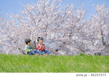 桜の咲く土手で遊ぶ兄弟 86207075