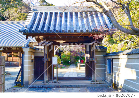 鎌倉 浄光明寺 鎌倉 浄光明寺 86207077