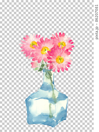 マーガレット いちごミルク の花束をブルーのガラス瓶に 水彩画イラスト 白バック 透過背景 のイラスト素材