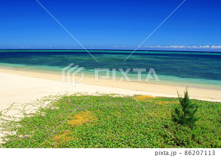 沖縄本島屈指のリゾート地　恩納村の美しい海 86207113