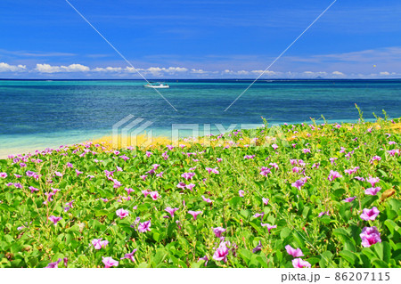 沖縄本島屈指のリゾート地　恩納村の美しい海 86207115