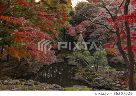 殿ヶ谷戸庭園 次郎弁天池 殿ヶ谷戸庭園 次郎弁天池 86207629
