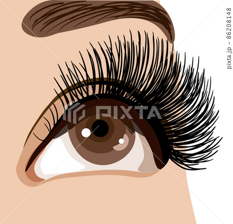 realistic eye isolated on the white background, vector illustration 86208148
