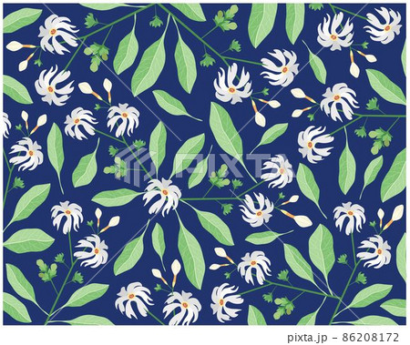 Background of Nyctanthes Arbor-tristis or Night Flowering Jasmine Background of Nyctanthes Arbor-tristis or Night Flowering Jasmine 86208172