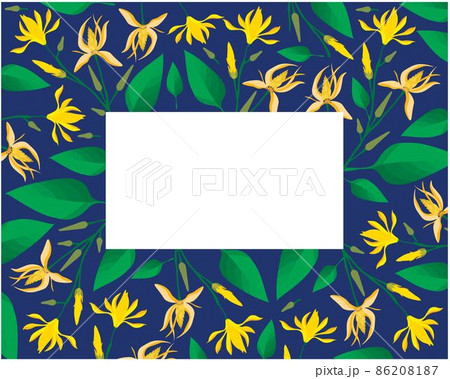 Beautiful Champaka or Magnolia Champaca Flowers Frame Beautiful Champaka or Magnolia Champaca Flowers Frame 86208187